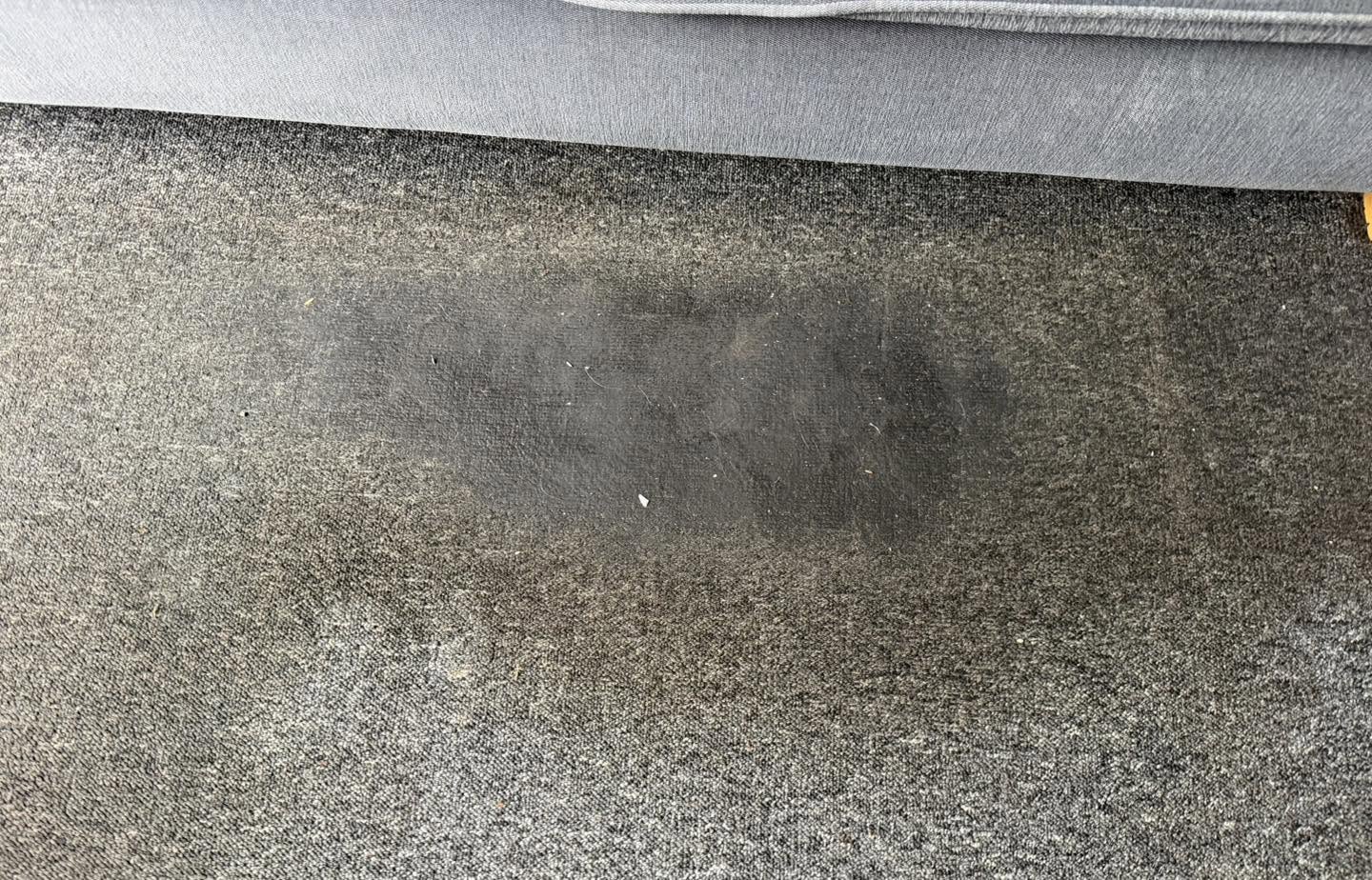 Floor carpet before cleaning